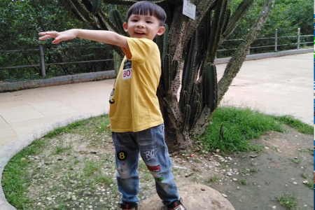 男孩起名大全