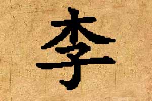 姓李男孩宝宝起名字